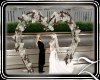 ~Z~ Wedding Couples Arch