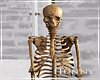 H. Skeleton Porch Decor