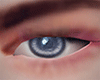 XAVIER Eyes | Blue