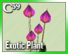 [C59] Exotic Purple 2