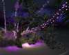 Tree Violet