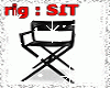 Chair portable SIT
