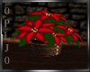 CHRISTMAS (Poinsettia)