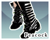 -P- Zebra Cowboy o;