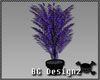 [BG]Classy Purple Plant