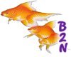 B2N-Goldfish Sticker