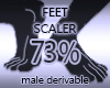 Foot Resize Scaler 73%