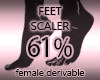 Foot Scaler 61%