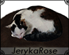 [JR] Realistic Cat Sleep