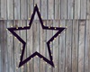 Purple amd Gold Star