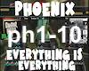 Phoenix - Everything i..