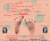 Angelica Birth Certifica