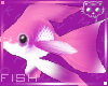 Fish PinkPu 1a Ⓚ
