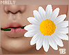 м| Daisy.Flower|Kids
