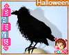 Skull and Crow Halloween