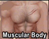Muscular Body ✔