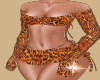 Tiger Hot Bikini