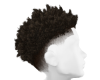 Cbelo Curly