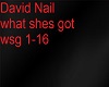 david nail what shes got