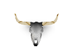 steer head