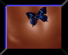 cobalt belly butterfly