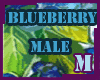 Blueberry Fur Male