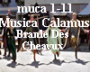 Musica Calamus