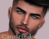 AidenChase Custom Head