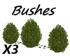 Bushes X3