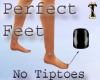 ![T] Perfect Feet 1