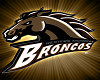 (MI) WSU Broncos