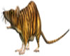 M~Tiger Rat 2