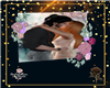 RDL-DREAM AND ROSE 3