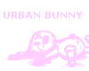 Urban Bunny