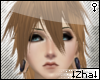 |Z| Sora Derivable