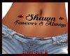 Shawn Forever&Always BT