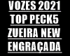 Vozes 2021 zueiras Peck5