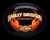 2013 Harley Rug