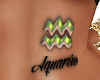 Aquarius Tummy Tattoo