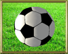 D! Park Soccer