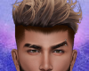 Blond Hair