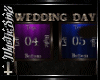 Wedding Day Pic Frames 2