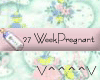 27 Weeks Pregnant (P)