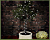 LS~Italian Potted Tree