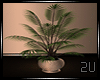 2u Potted Plant 
