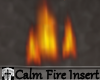 Calm Fire Insert