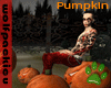 [wp]Pumpkin Party