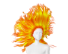 Hair Fire ANI