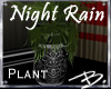*B* Night Rain Plant II