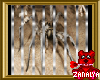 Zana Spider In Cage